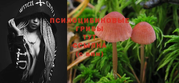 mdma Верхний Тагил